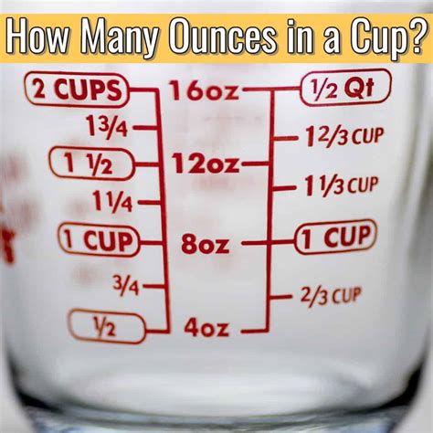 How many cups in 54 ounces. Things To Know About How many cups in 54 ounces. 